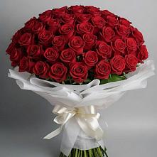 Букет 101 Красная роза Блэк Мэджик в Александрии
