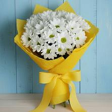 Букет цветов из:  Хризантемы в Александрии