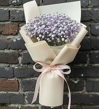 Букет цветов из:  Гипсофила в Александрии