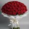 Букет 101 Красная роза Блэк Мэджик в Александрии