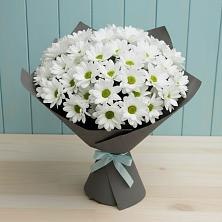 Букет цветов из:  Хризантемы в Александрии