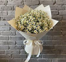 Букет цветов из:  Ромашки в Александрии