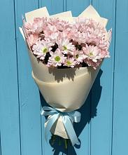 Букет цветов из:  Хризантемы в Александрии