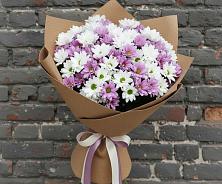 Букет цветов из:  Хризантемы #REPLACE_PRED# Александрии