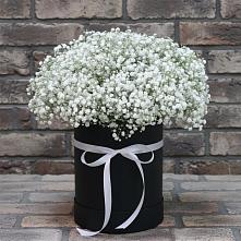 Цветочная композиция из Гипсофила в шляпной коробке в Александрии