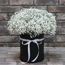 Цветочная композиция из Гипсофила в шляпной коробке в Александрии