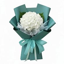 Букет цветов из:  Гортензия #REPLACE_PRED# Александрии